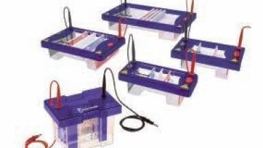 New Range of Electrophoresis Systems