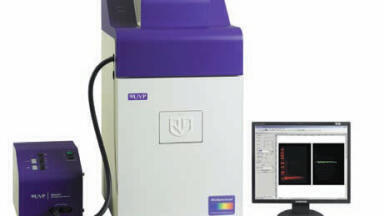 Multiplex NIR Imaging of Protein Blots