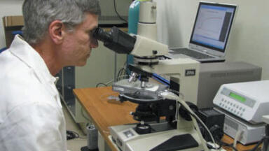 Temperature Stages Prove a Hit with Liquid Crystal Development and Characterisation Specialists