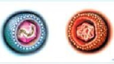 Congenital Assay Panel Launched to the UK Market