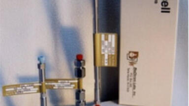 Hydrocell Reversed Phase Columns RP 10D and RP 5D for Direct High Molecular Weight of Protein and Enzyme Analyses and Purification
