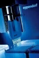 Automated Pipetting Technology Helps LGC Make the Most of Real-time PCR