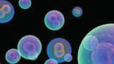 Comprehensive Range of Recombinant Proteins From a Variety of Species
