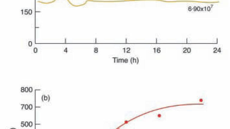 Membrane Inlet Mass Spectrometer System Assists in Denitrification Studies