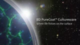 Fifty Years in Cell Culture