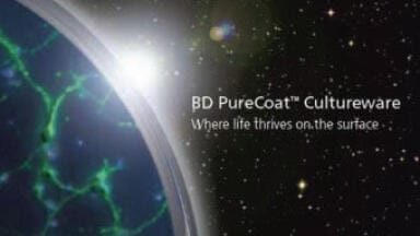 Fifty Years in Cell Culture