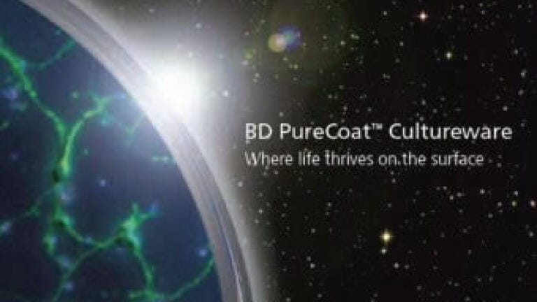Fifty Years in Cell Culture