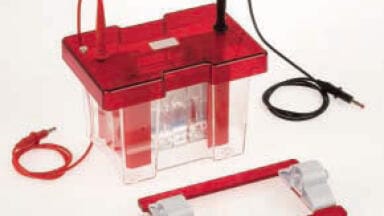 The Perfect Venue to Launch A New Electrophoresis Range