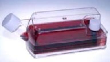 Optimisation of Small-scale Biomanufacturing Processes