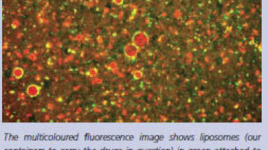 Bursting Bubbles with Sound Offers New Treatments for Cancer