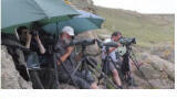 Storming Start for SeaWatch SW Marine Wildlife Survey