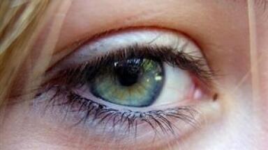 Clinical laboratory IT solutions could receive gift of sight