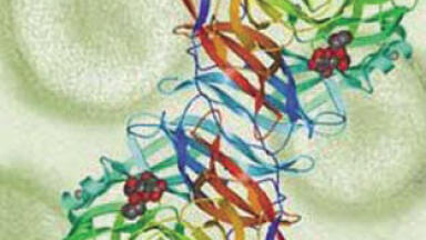 Protein Standards for Mass Spectrometry Analysis