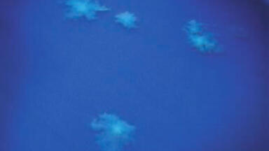 Isolating and Differentiating Clostridium Difficile