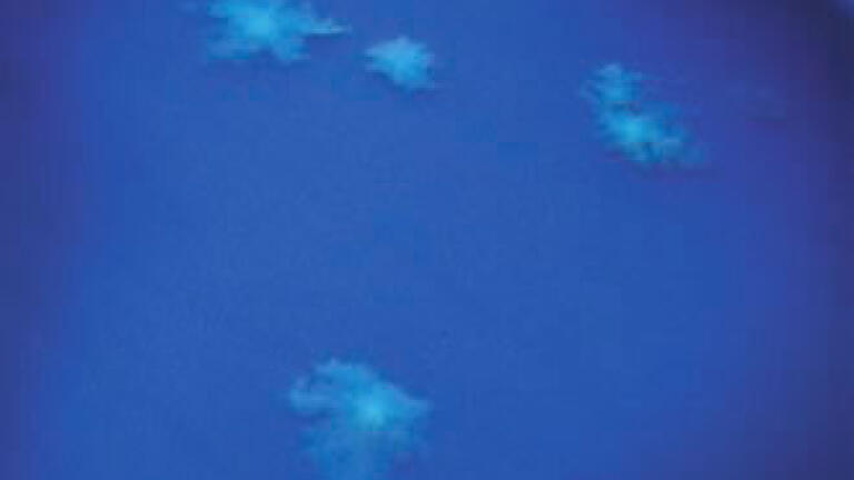Isolating and Differentiating Clostridium Difficile