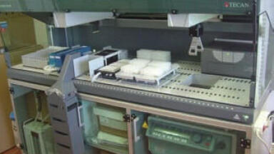 Automated Solutions Accelerate Crop Improvement
