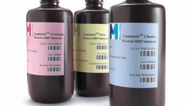 Pre-mixed HRP Substrates