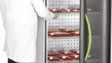 CO2 Incubation on a Large Scale