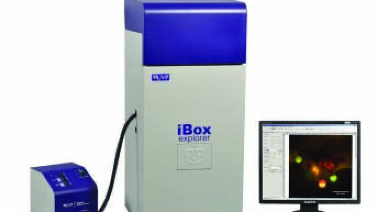 Fluorescence Imaging Microscope Released
