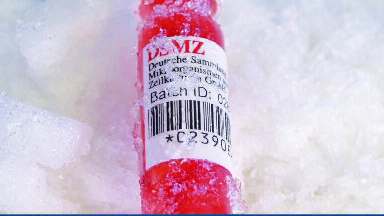NEW! CILS ‘Hi-Tech’ Laboratory Labels – Ultimate Adhesion for all ...