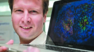 Proving that Foods Can Help Fight Cancer