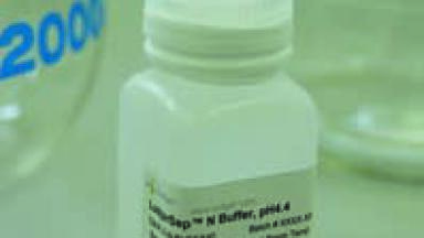 Ready-Made Ammonium Formate Buffer Simplifies Glycoprofiling