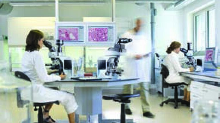 Intuitive and Adaptable Control for Microscopy Workflow and Digital Documentation