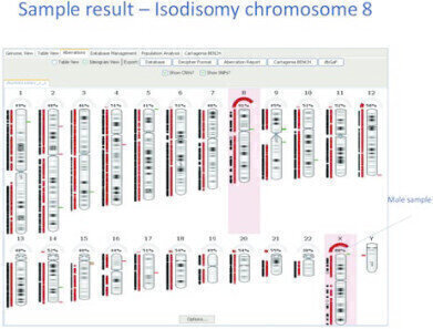 Unique CNV Array with Whole Chromosome Uniparental Disomy Detection