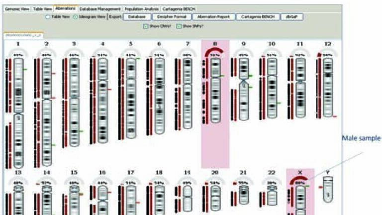 Unique CNV Array with Whole Chromosome Uniparental Disomy Detection