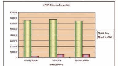 Easy and Economic Generation of Functional siRNAs