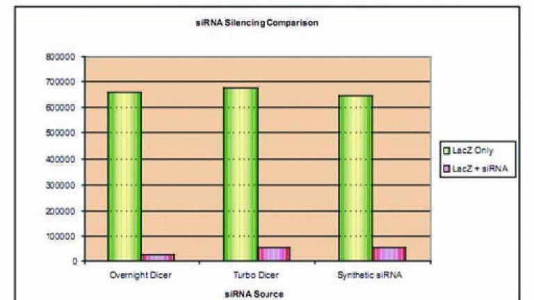 Easy and Economic Generation of Functional siRNAs