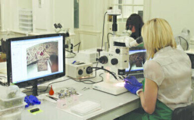 Museum Conservation Studio Selects Microscopes to Study the Staffordshire Hoard