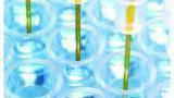 Launch of Protein G Biosensor