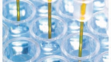 Launch of Protein G Biosensor