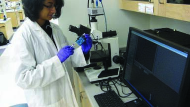 Studying Self-Assembled Polymer/DNA Particles