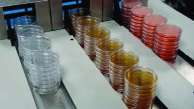 Petri Dishes on Demand