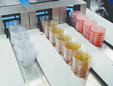 Petri Dishes on Demand