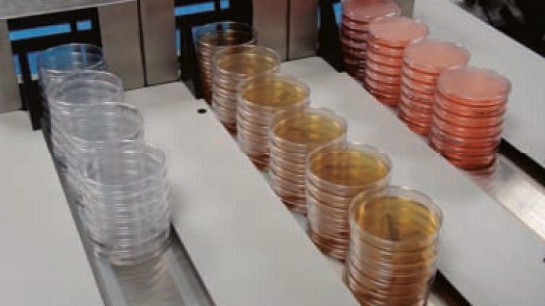Petri Dishes on Demand