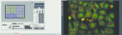 High-Content Screening Automation for Confocal and Widefield Microscopy