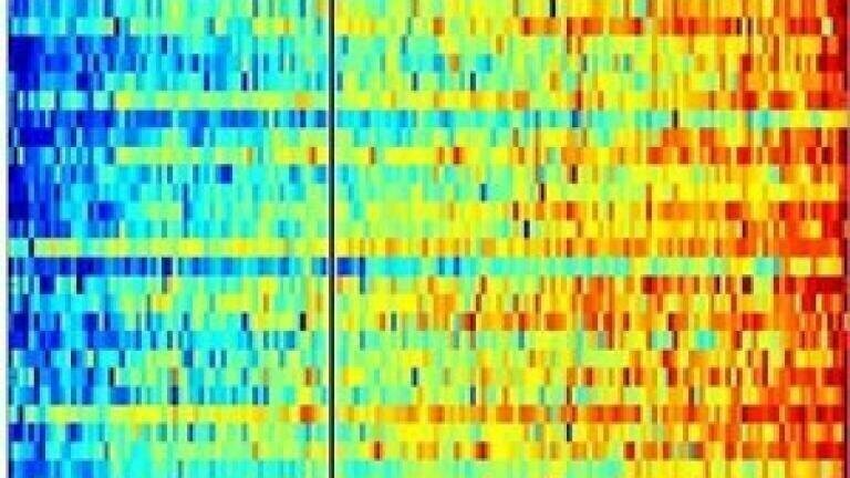 Latest microscopy technique promises fast detection of cancer cells