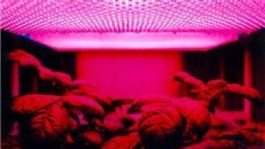 EUV imaging makes latest microscopy news