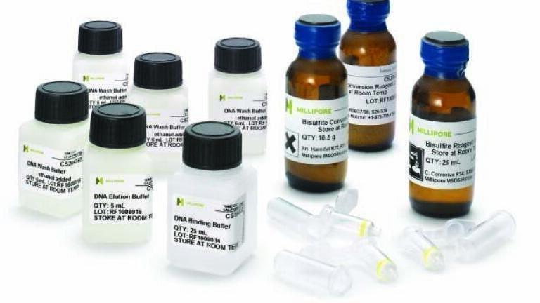 Fastest Available DNA Methylation Kit Speeds Epigenetic Mapping