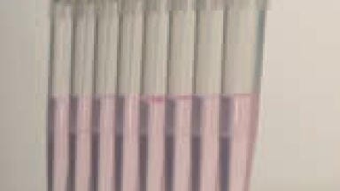 Precision Multichannel Pipetting Enables Fast and Economic 3D Microtissue Cultivation