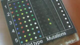 Genetic Testing Prevents Disease