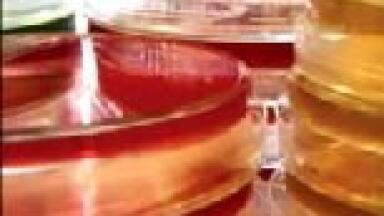 New Iso Nutrient Agar is Launched