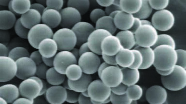 New Certified Silica Microspheres