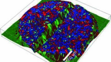 True Surface Microscopy