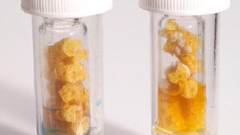 Soleris Vial-in-Vial