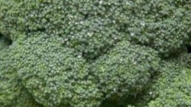 Teaming broccoli with sprouts 'doubles their anti-cancer powers'