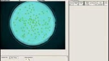 New Microbiology Imaging Software Offers Fast, Accurate Analysis of Colony Numbers and Zone Sizes